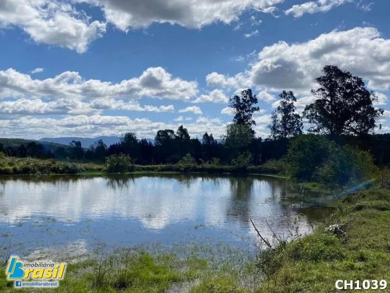 Chácara com 57 hectares de frente para RS 020