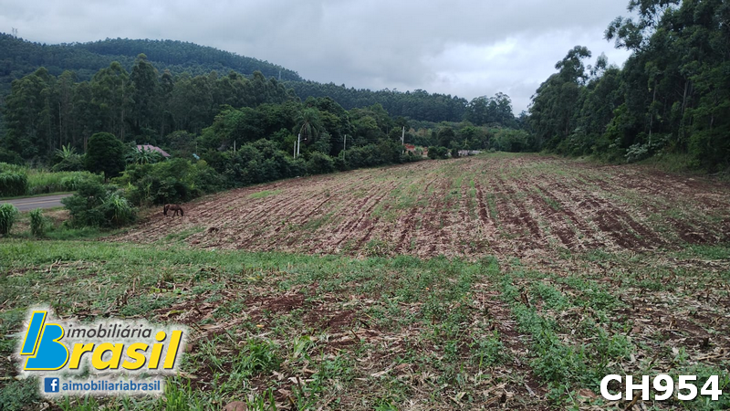 Chácara com 4,3 hectares                  