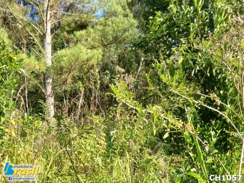 Cácra com 30,00m² com casa                                      