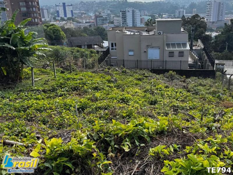Terreno bem localizado medindo 365,79m²