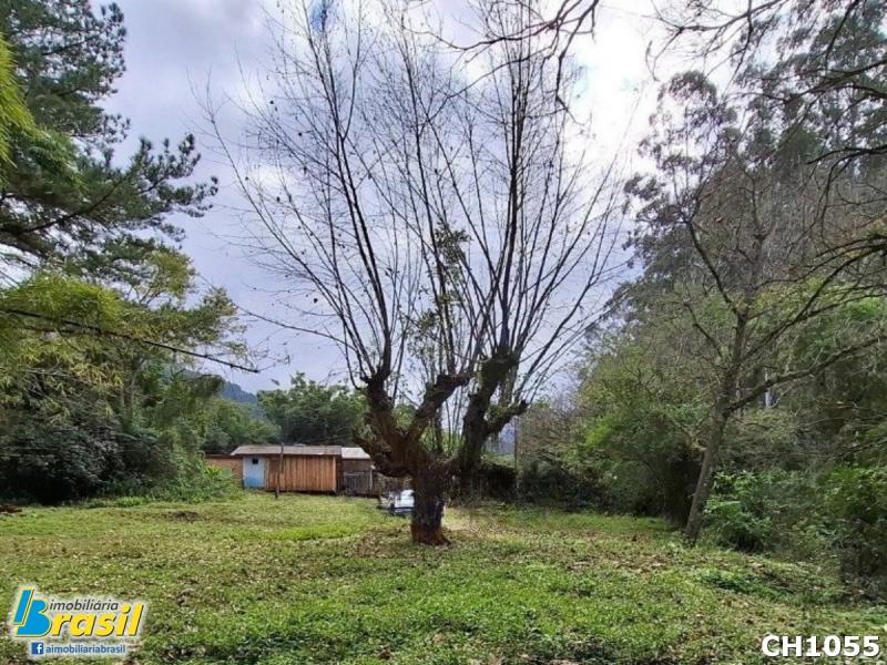Área com 19 hectares                                                                                            