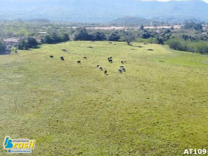 Área plana e de fácil acesso para RS-239